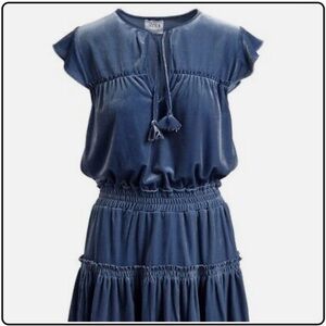 Misa Los Angeles Matias Ruffle Velvet Mini Dress. Sz L